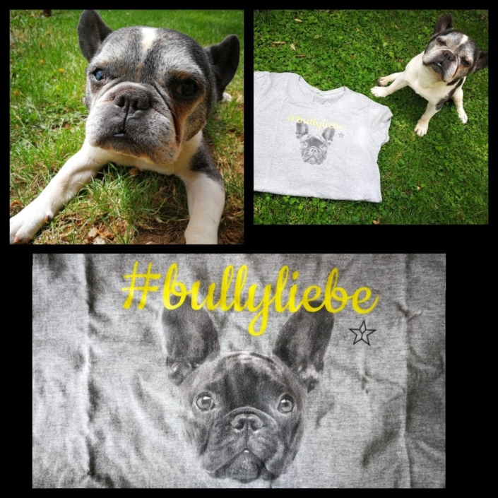 Gonzo präsentiert stolz das Frau(ch)en T-Shirt #bullyliebe in GRAU meliert